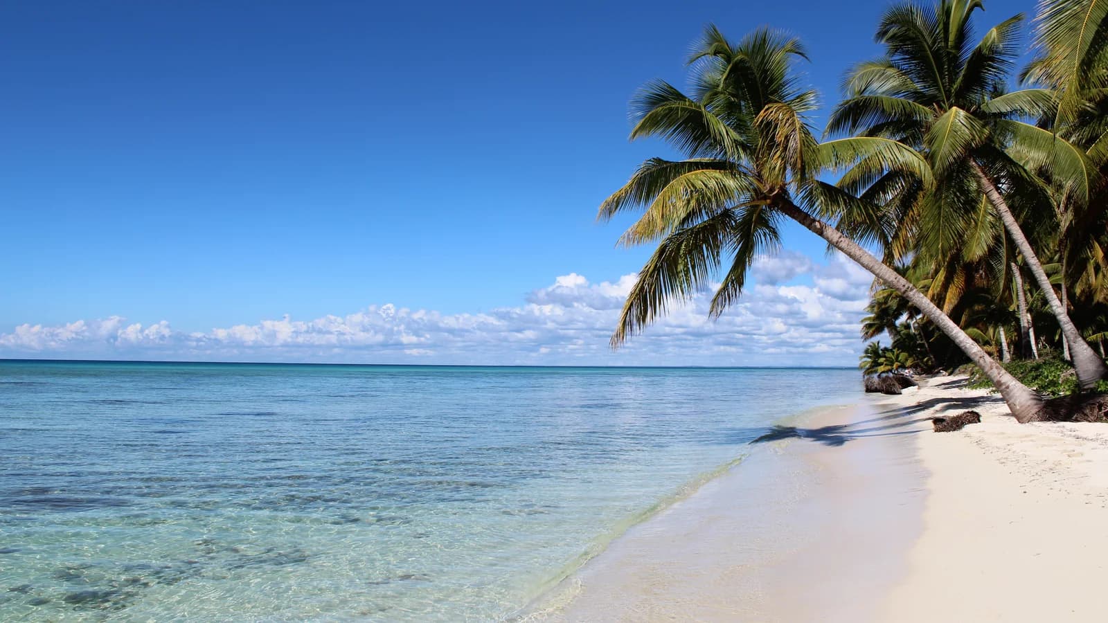 Playa tropical de arena blanca en el Caribe